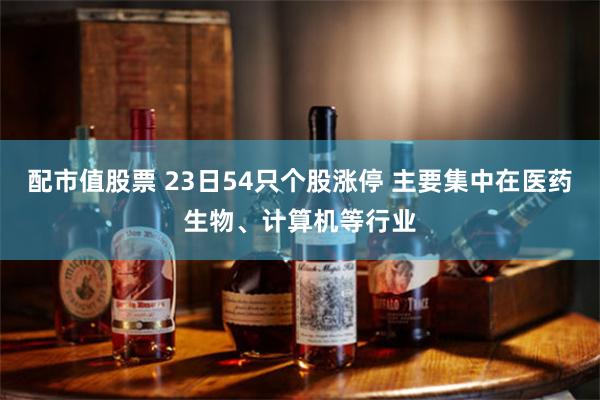 配市值股票 23日54只个股涨停 主要集中在医药生物、计算机等行业