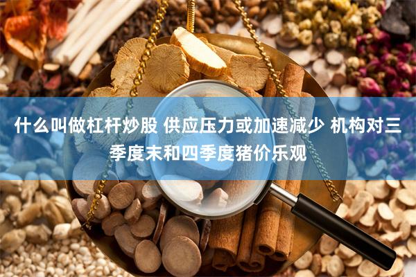 什么叫做杠杆炒股 供应压力或加速减少 机构对三季度末和四季度猪价乐观