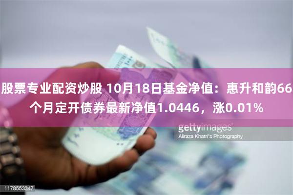 股票专业配资炒股 10月18日基金净值：惠升和韵66个月定开债券最新净值1.0446，涨0.01%