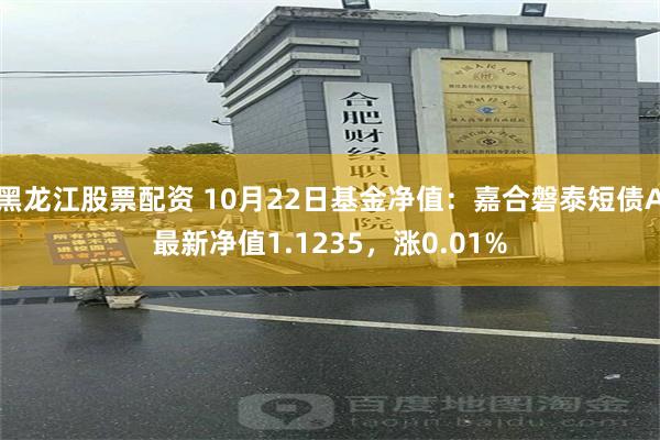 黑龙江股票配资 10月22日基金净值：嘉合磐泰短债A最新净值1.1235，涨0.01%