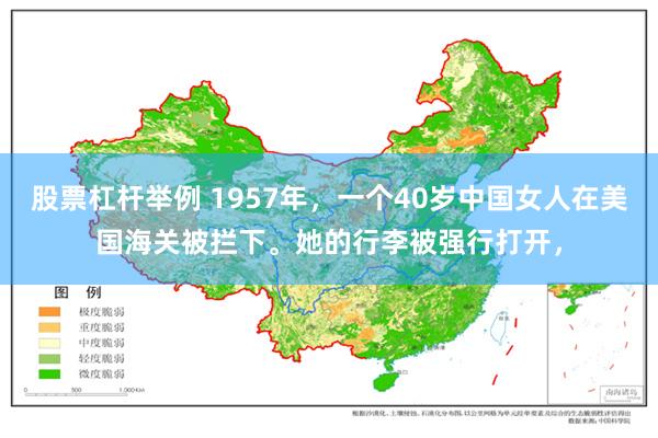 股票杠杆举例 1957年，一个40岁中国女人在美国海关被拦下。她的行李被强行打开，