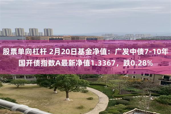 股票单向杠杆 2月20日基金净值：广发中债7-10年国开债指数A最新净值1.3367，跌0.28%