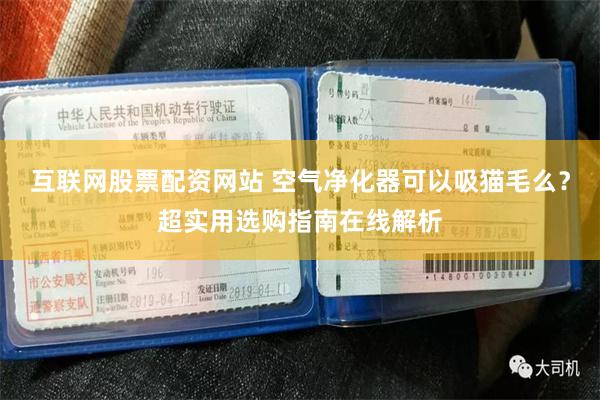 互联网股票配资网站 空气净化器可以吸猫毛么？超实用选购指南在线解析