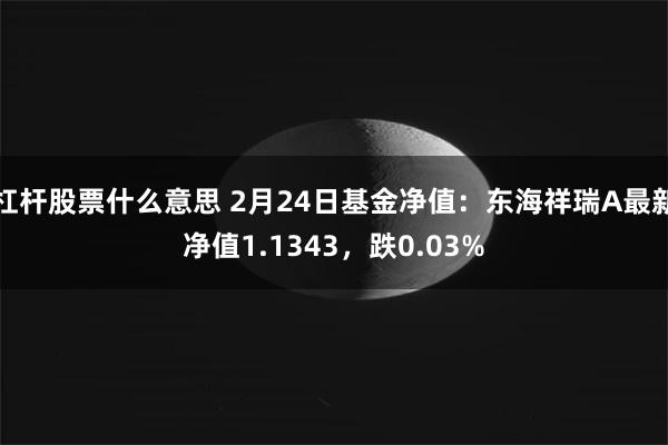 杠杆股票什么意思 2月24日基金净值：东海祥瑞A最新净值1.1343，跌0.03%